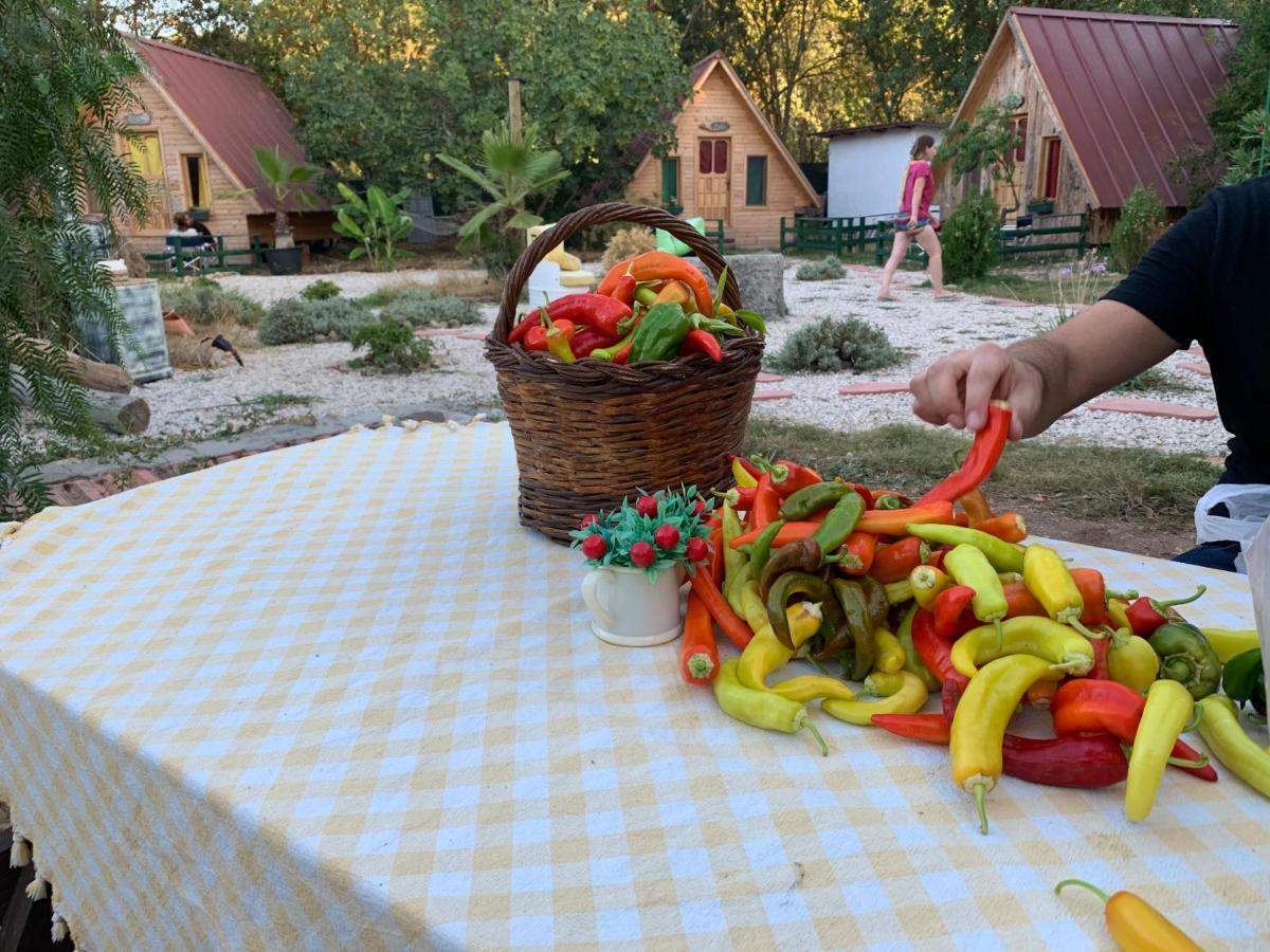Pusula Bungalow Otel Kayakoy Luaran gambar